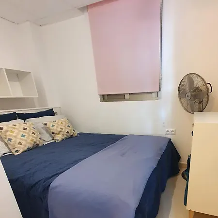 Locos 托雷维耶哈